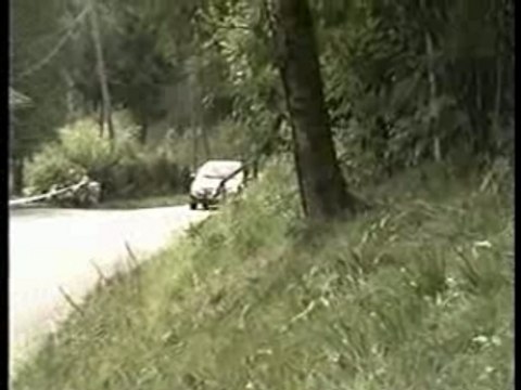 Rallye vosgien 2007 2