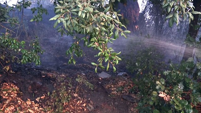 Corse : les pompiers luttent toujours contre les incendies