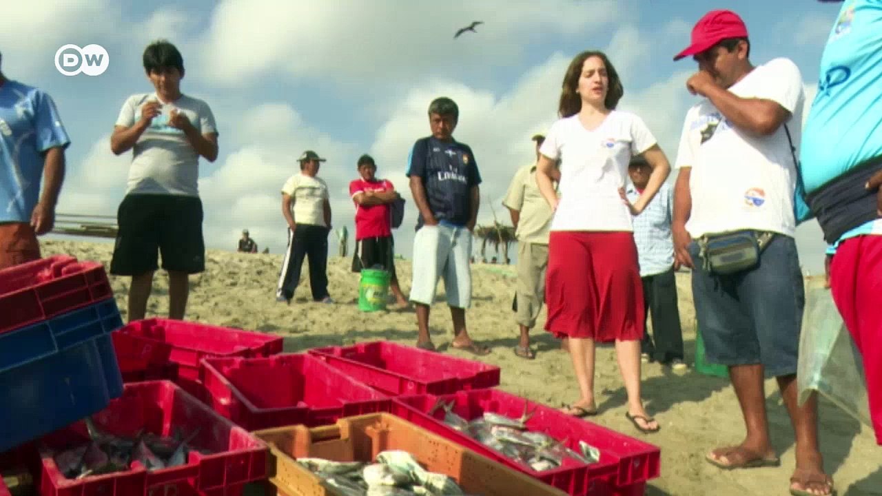 Perú: la mantarraya, belleza de los mares | Global 3000