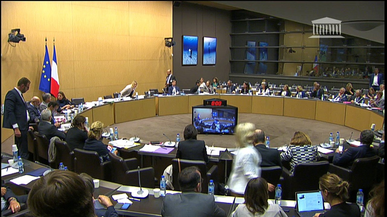 Le malaise de Nicolas Hulot à l'Assemblée 3