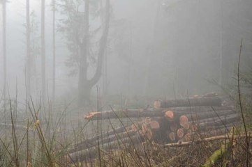 5 creepy phobias you definitely have