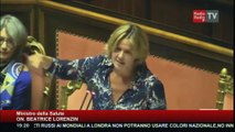 Lavori in corso- 25 luglio 2017 - On. Beatrice Lorenzin (Ministro della Salute)