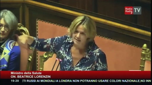 Lavori in corso- 25 luglio 2017 - On. Beatrice Lorenzin (Ministro della Salute)