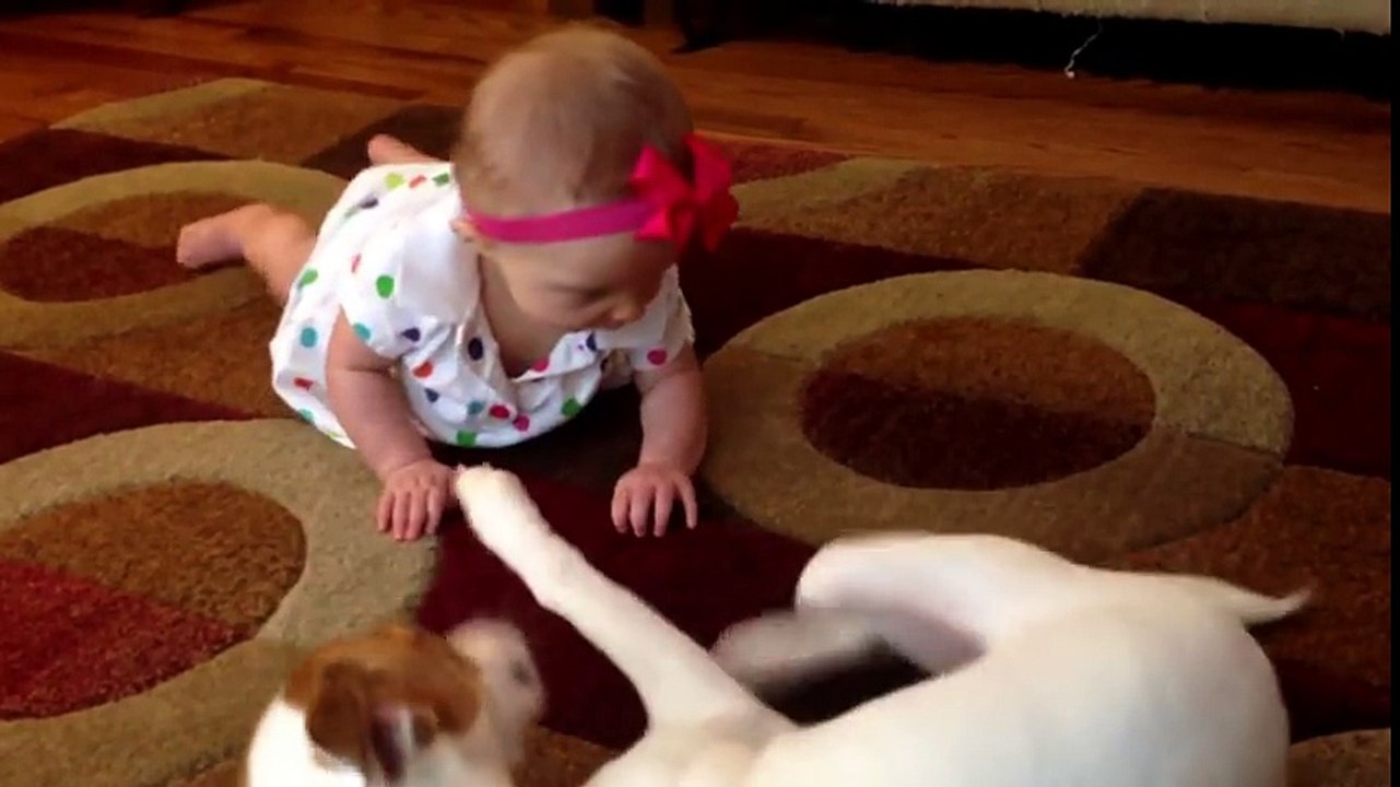 Пёс учит малышку ползать(Le chien apprend à ramper bébé)
