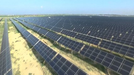 This Panda-Shaped Solar Farm Is Starting A New Trend