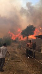 Wildfire Burns Close to Homes in Corsica