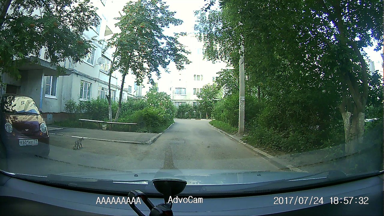 Bicycle Accident