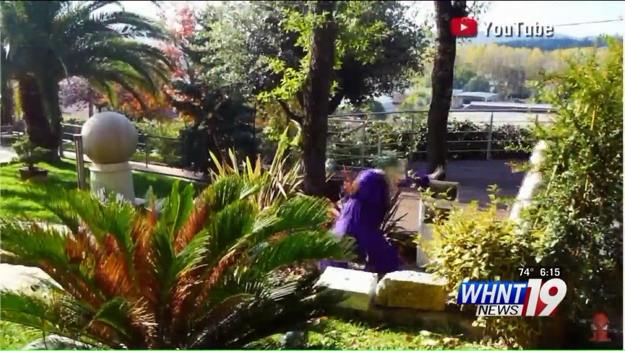 'Disturbing' YouTube Videos Featuring Popular Disney Characters Prompt Concern from Parents