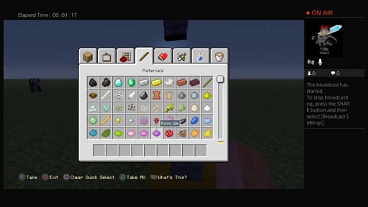 Minecraft pros (25)