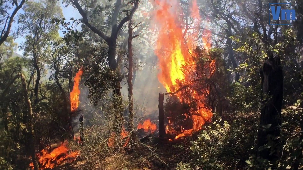 Le golfe de Saint-Tropez en lutte contre les incendies
