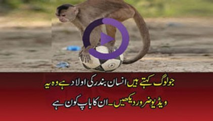 human are from monkey or a creation of god . good stir