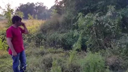 Sakarya'da Orman Işçisi Ölü Bulundu