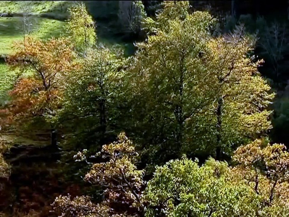 pasiegos. pasiegos, valles del silencio (2011) [2]