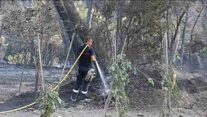 Arden 4.000 hectáreas en Francia, que pide ayuda aérea a países europeos