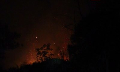 Api Makin Dekati Permukiman, Warga di Aceh Barat Mengungsi