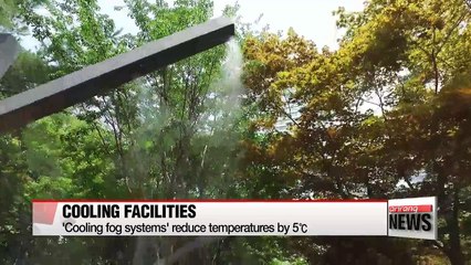 How Daegu city battles the summer heat