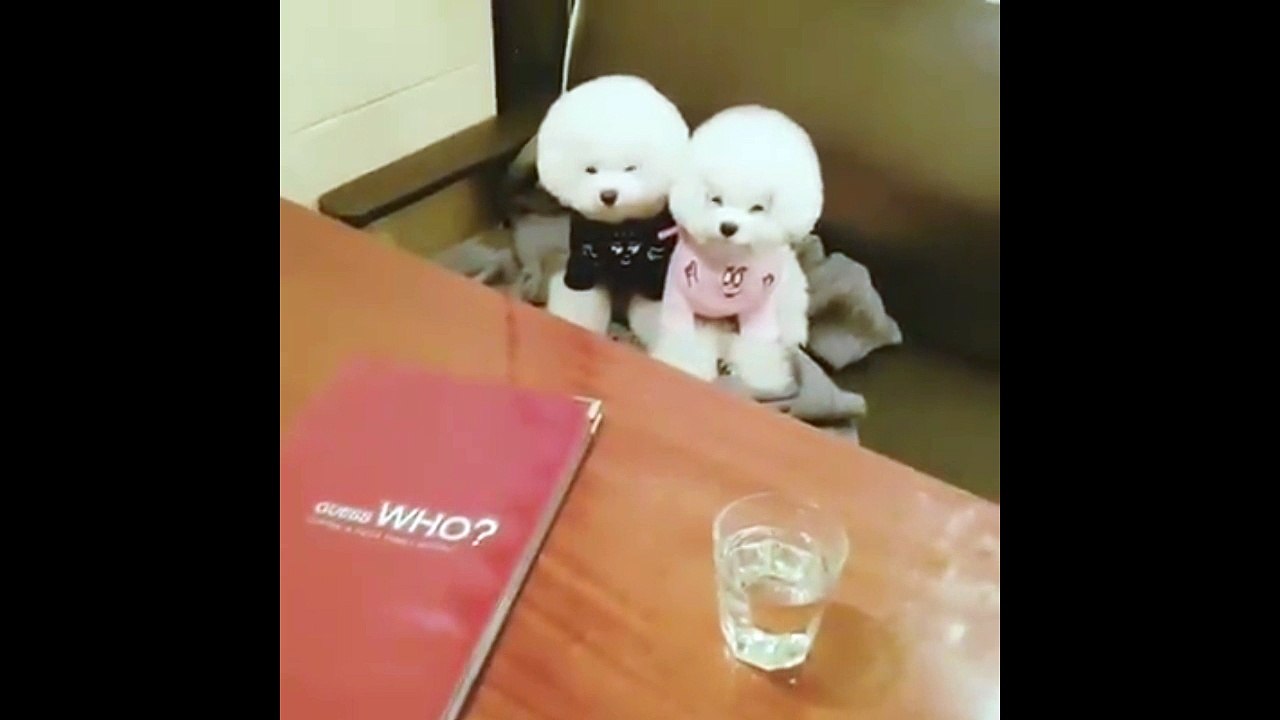 Cute cotton... HOT !!!