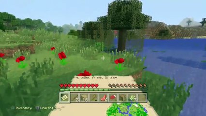 Trying to beat minecraft (8)