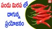 Best Way To Lose Weight Add Red Chilli To Your Diet Chili Peppers May Fire Up Weight Loss Namaste Telugu