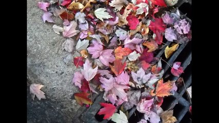 αποφραξεις-χολαργός-–-2106852718-–-apofraχeis-xolargos