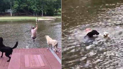Dogs Panic As Owner Falls Into Lake Before Jumping In To 'Save' Him