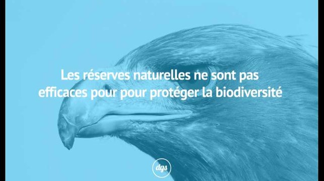 Les réserves naturelles délimitées par les humains ne sont pas efficaces pour protéger la biodiversité