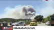 Kebakaran Hutan di Prancis, Ribuan Wisatawan Dievakuasi