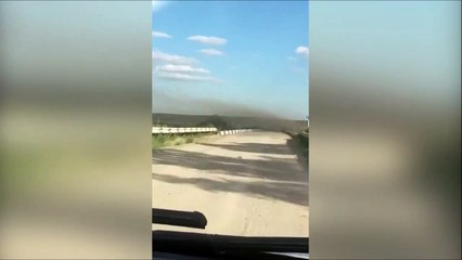 Descargar video: Ce conducteur va traverser un nuage de criquets... Flippant