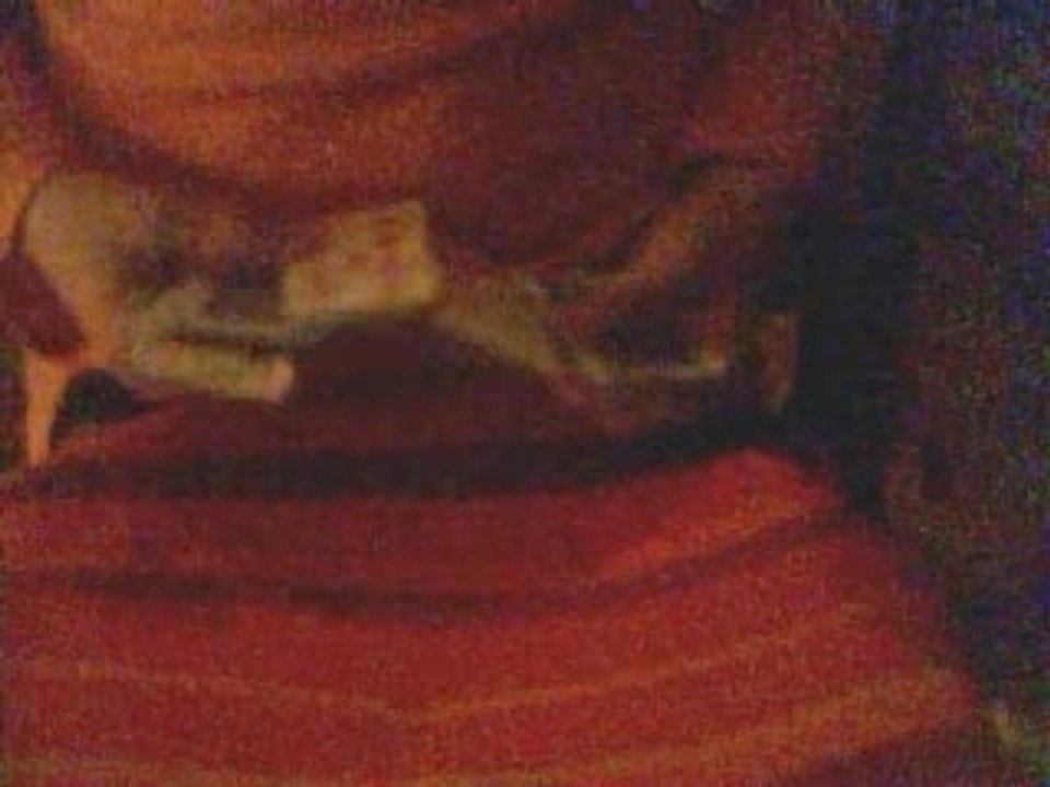 Tour de magie-Sandwich