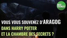 Araignée