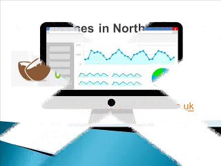 SEO Services in Northern Ireland - www.coconutmedia.co.uk