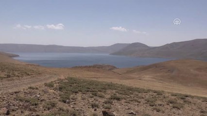 Türkiye'nin En Yüksek Rakımlı Gölü" Ziyaretçilerini Bekliyor - Ağrı