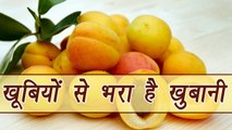 Dried Apricot, खुबानी | Health Benefits | सेहत की खूबियों से भरपूर है खुबानी | Boldsky