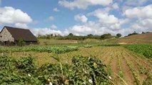 A Road Trip Through Cuba’s Tobacco Country
