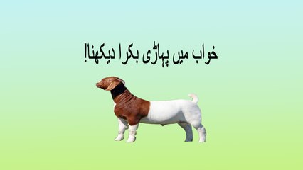 khwabon ki tabeer in Urdu -  khawab mein pahari bakra dekhna