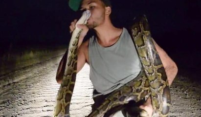 Üç metrelik pitonu böyle yakaladı