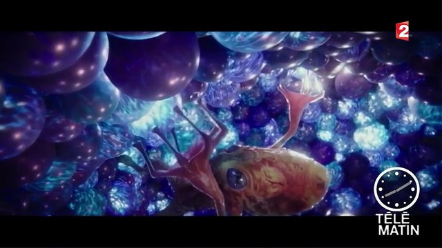 Le dernier pari de Luc Besson, Valérian et la cité des mille planètes