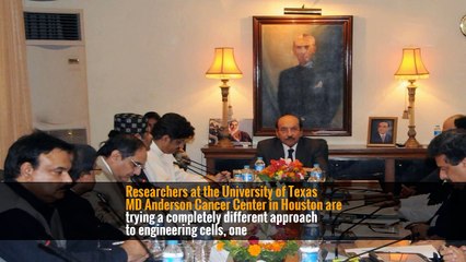 Companies Rush to Develop ‘Utterly Transformative’ Gene Therapies