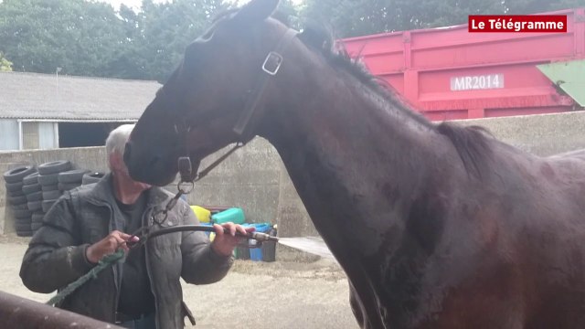 Courses de Saint-Efflam. Arnaqueur et Vorco parés pour la piste