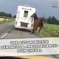 Un cheval tiré par un van sur la route scandalise les internautes