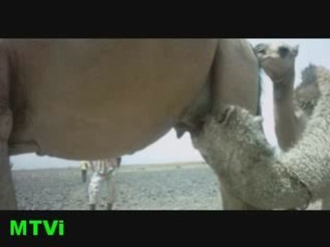 :.. AHUZAR SAMHI YABABANU MTVI.::