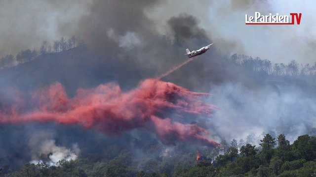 6 nouveaux bombardiers d'eau contre les feux de forêt