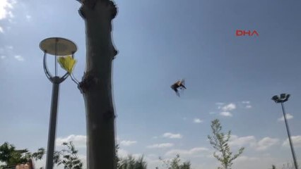 Çankırı Bakan Eroğlu, Tedavisi Yapılan Şahin'i Doğaya Bıraktı