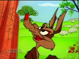 Woolen Under Where (With Title Card Translated In Portugese) (No Intro)