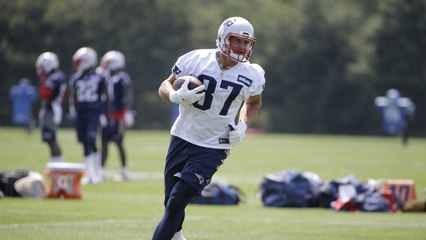 Patriots expectations for 2017