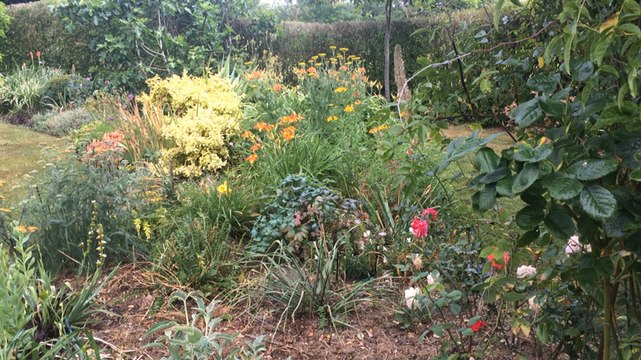 Entre Valframbert et Alençon, Michel Trouillé a transformé un ancien champ de blé en paradis végétal