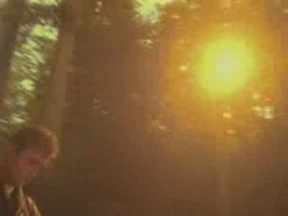 Belly - Feed The Tree