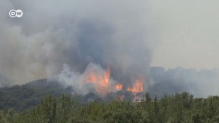 Fransa'da orman yangınları korkutuyor