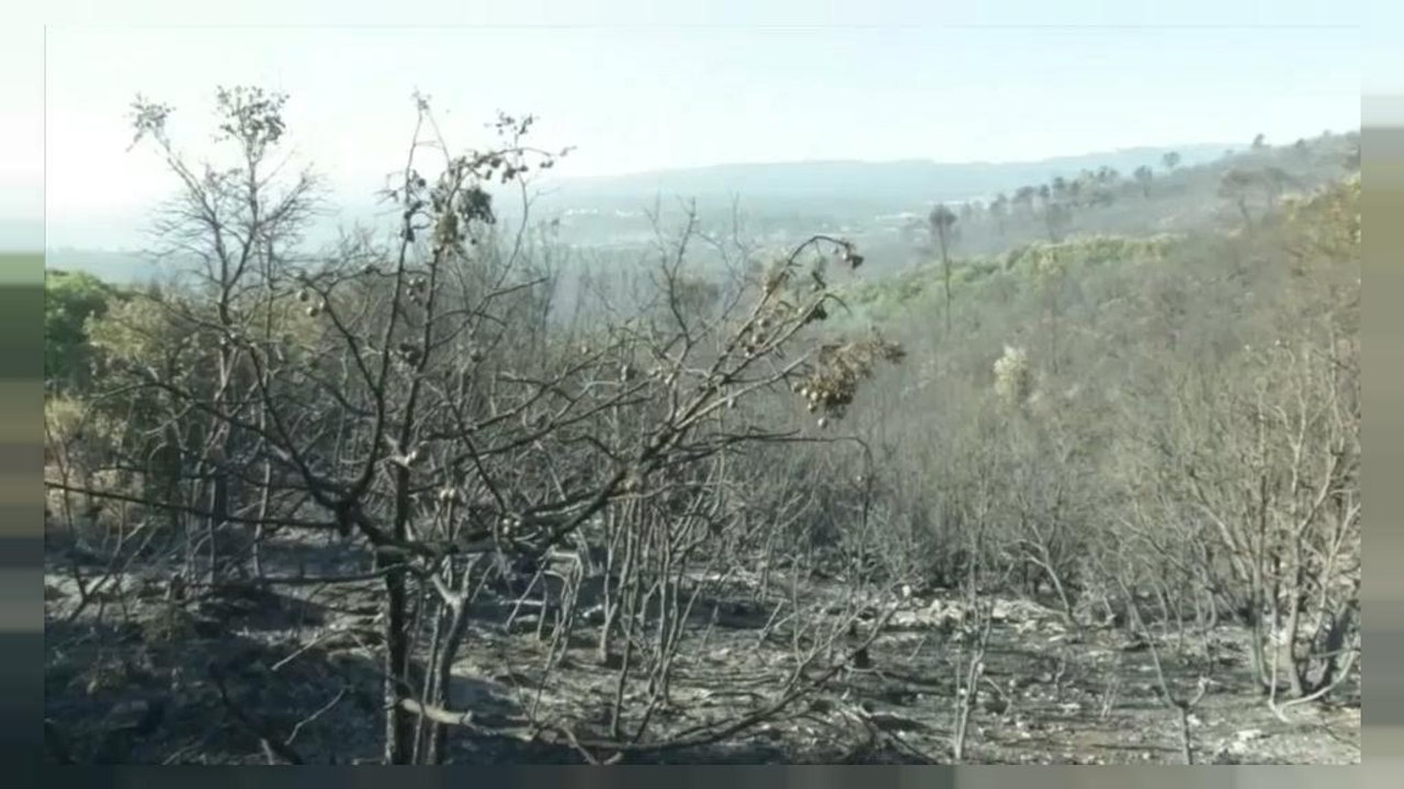 French wildfires rage for third day