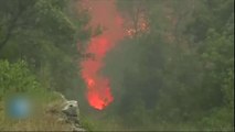 Feux de forêt : Des pompiers lyonnais en renfort dans le sud
